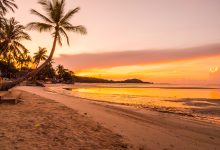beautiful tropical beach sea and ocean with coconut palm tree at sunrise time