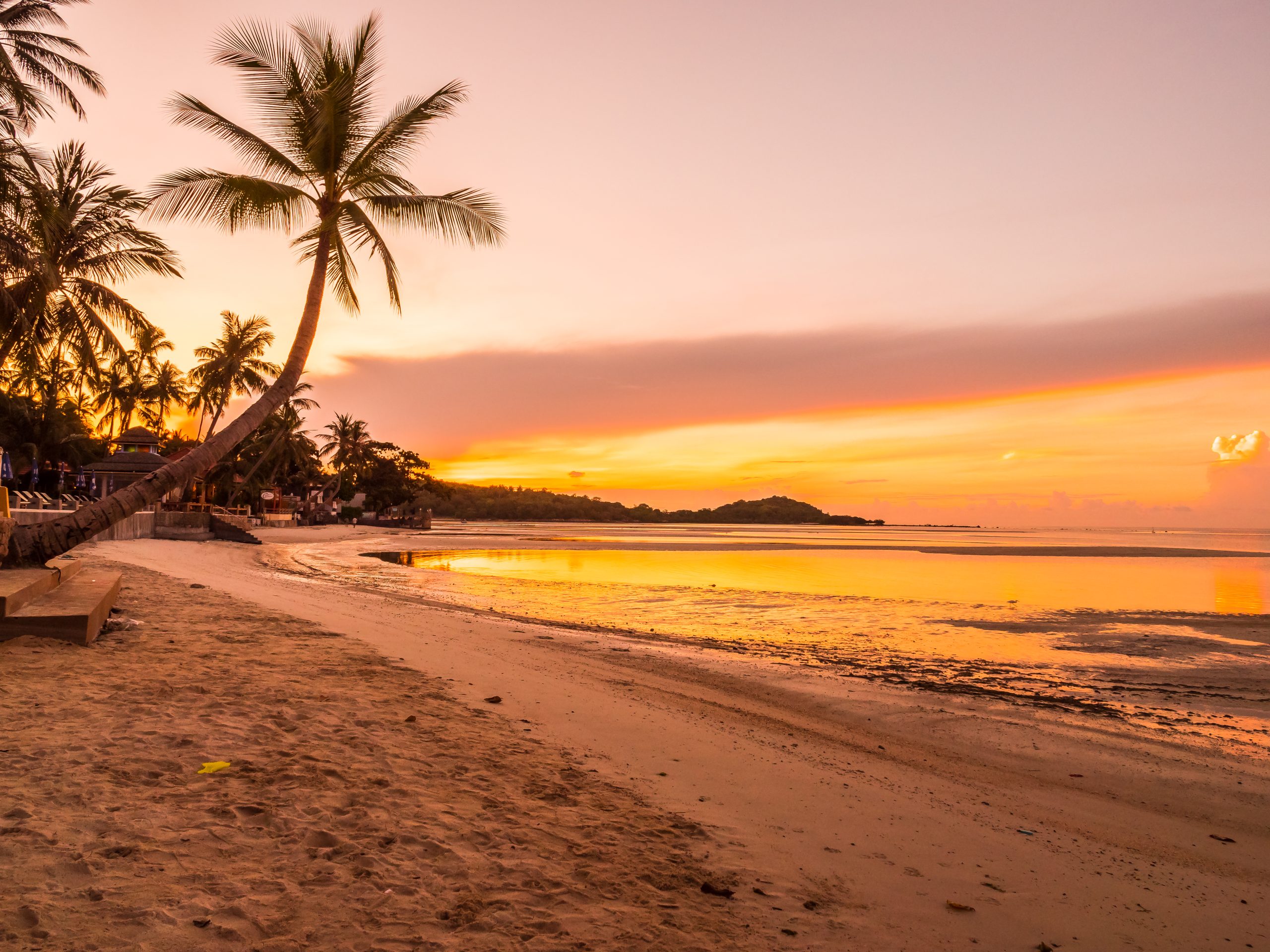 beautiful tropical beach sea and ocean with coconut palm tree at sunrise time scaled