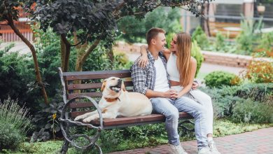 the moment of resting beautiful smiling couple with their dog in the park on a sunny day