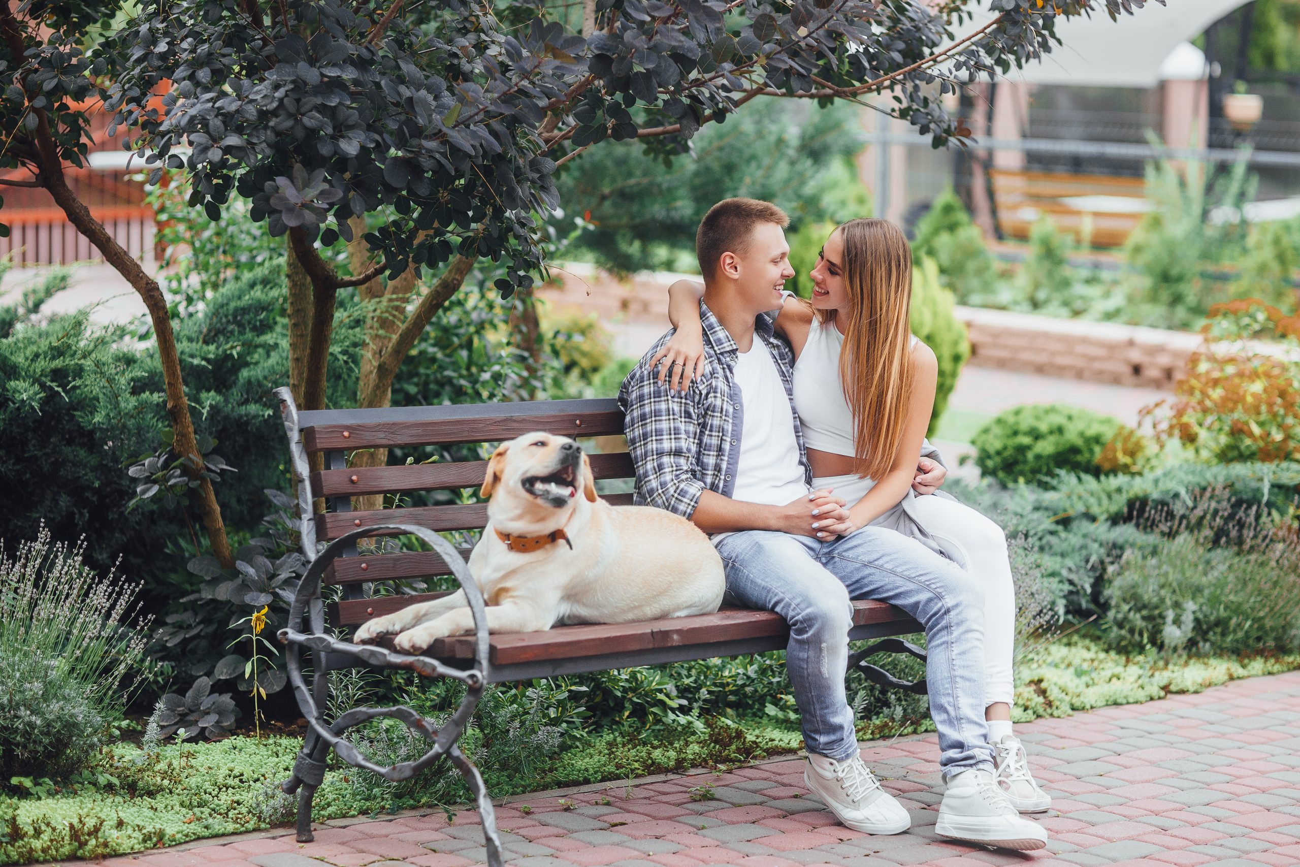 the moment of resting beautiful smiling couple with their dog in the park on a sunny day scaled