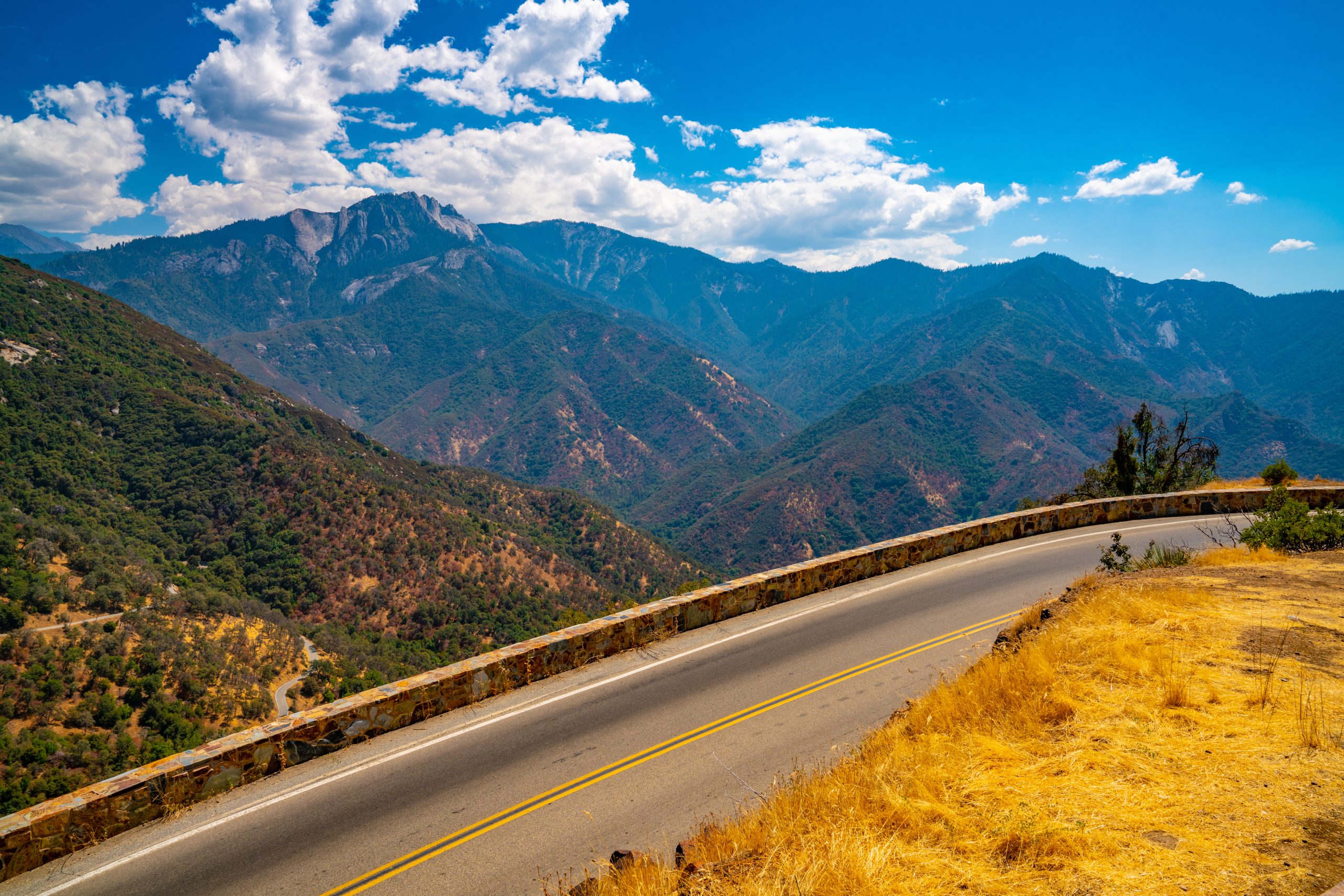 beautiful shot of sequoia national forest on sierra mountains background scaled