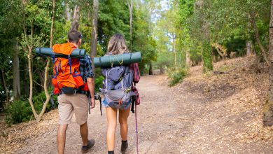 back view of couple going along road in forest long haired woman and man carrying backpacks and hiking on nature together green trees on background tourism adventure and summer vacation concept