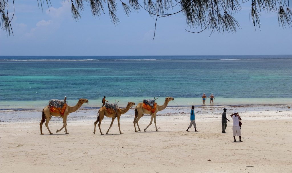 Um dos destinos de praia na África mais emocionantes e deslumbrantes com certeza é a Diani Beach.
