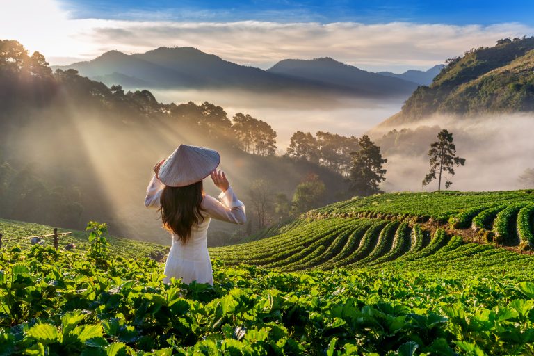 Viagem para o Vietnã: guia completo com dicas e roteiros 8 Viagem para o Vietnã: guia completo com dicas e roteiros